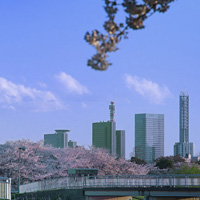 大宮公園から見た埼玉新都心