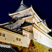 夜の和歌山城の天守曲輪